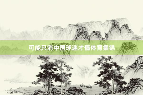 可能只消中国球迷才懂体育集锦