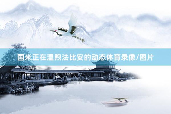 国米正在温煦法比安的动态体育录像/图片