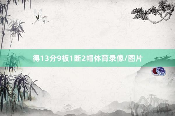 得13分9板1断2帽体育录像/图片