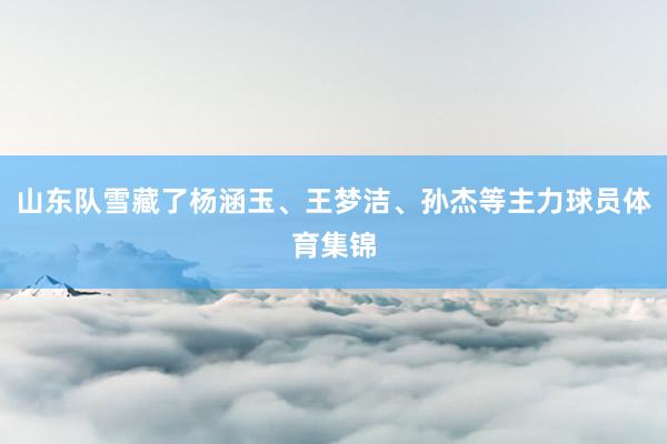 山东队雪藏了杨涵玉、王梦洁、孙杰等主力球员体育集锦