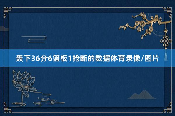 轰下36分6篮板1抢断的数据体育录像/图片