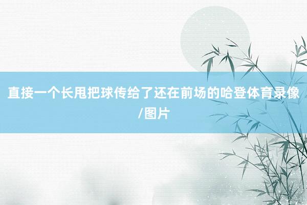 直接一个长甩把球传给了还在前场的哈登体育录像/图片