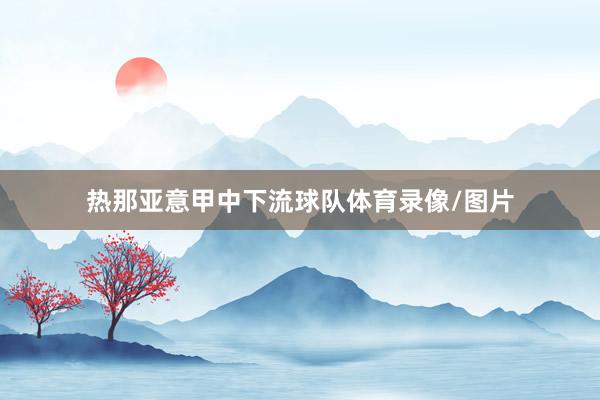 热那亚意甲中下流球队体育录像/图片