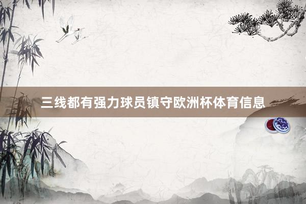 三线都有强力球员镇守欧洲杯体育信息