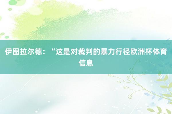 伊图拉尔德：“这是对裁判的暴力行径欧洲杯体育信息