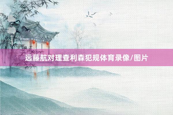 远藤航对理查利森犯规体育录像/图片