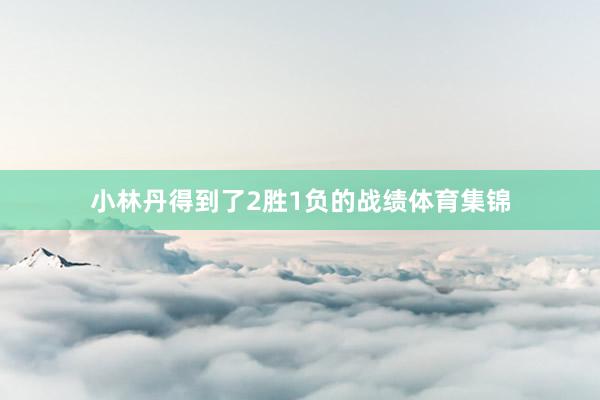 小林丹得到了2胜1负的战绩体育集锦