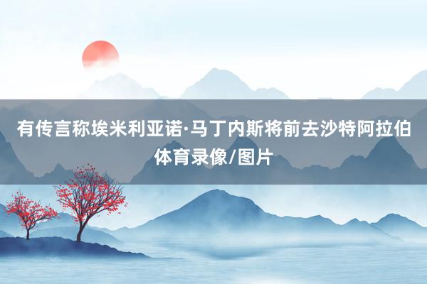 有传言称埃米利亚诺·马丁内斯将前去沙特阿拉伯体育录像/图片