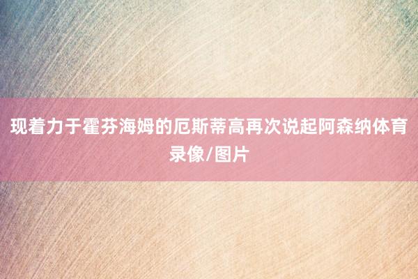 现着力于霍芬海姆的厄斯蒂高再次说起阿森纳体育录像/图片
