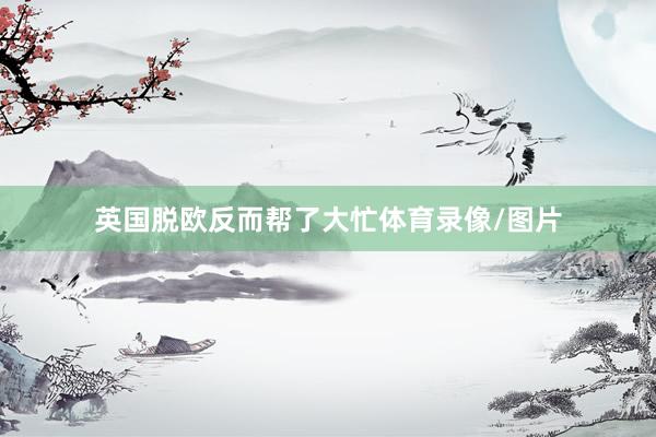 英国脱欧反而帮了大忙体育录像/图片
