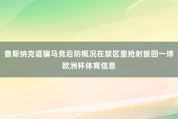 鲁斯纳克诓骗马竞后防概况在禁区里抢射扳回一球欧洲杯体育信息