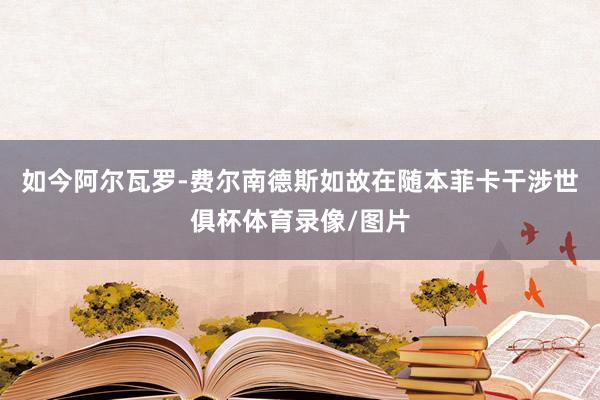 如今阿尔瓦罗-费尔南德斯如故在随本菲卡干涉世俱杯体育录像/图片