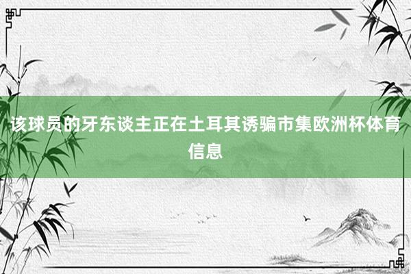 该球员的牙东谈主正在土耳其诱骗市集欧洲杯体育信息