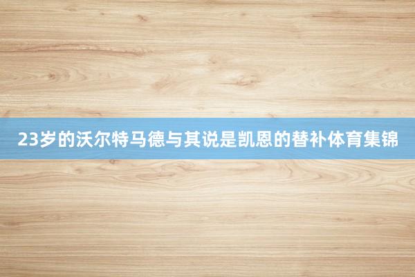 23岁的沃尔特马德与其说是凯恩的替补体育集锦