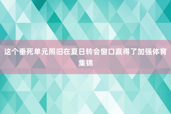这个垂死单元照旧在夏日转会窗口赢得了加强体育集锦
