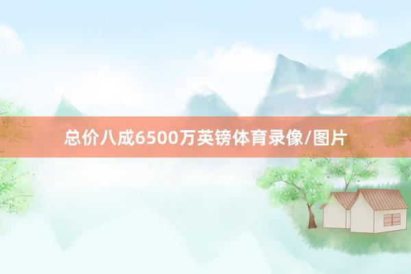 总价八成6500万英镑体育录像/图片