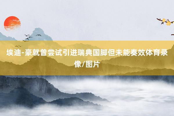 埃迪-豪就曾尝试引进瑞典国脚但未能奏效体育录像/图片