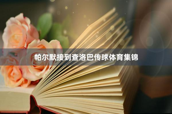 帕尔默接到查洛巴传球体育集锦
