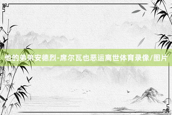 他的弟弟安德烈-席尔瓦也恶运离世体育录像/图片