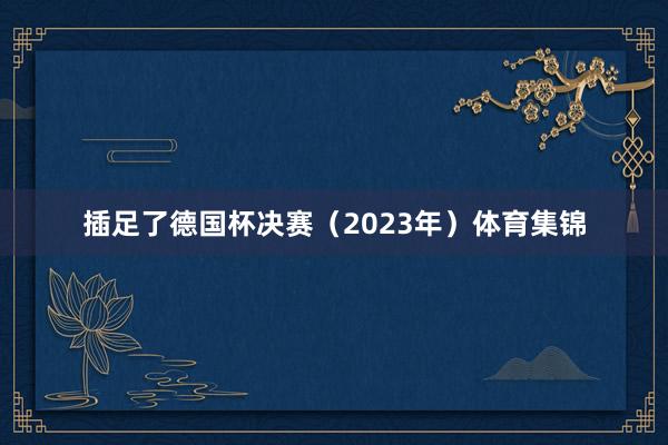 插足了德国杯决赛（2023年）体育集锦