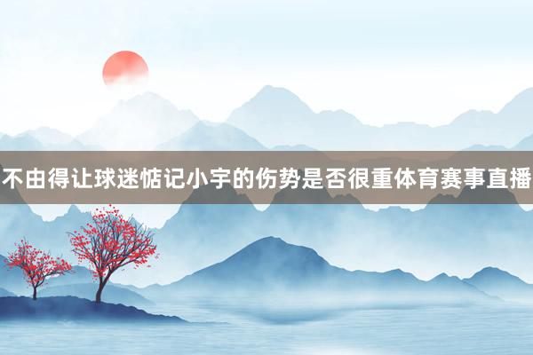 不由得让球迷惦记小宇的伤势是否很重体育赛事直播