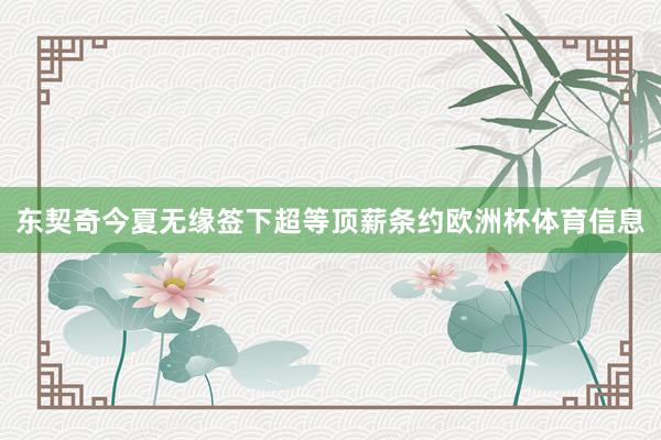 东契奇今夏无缘签下超等顶薪条约欧洲杯体育信息