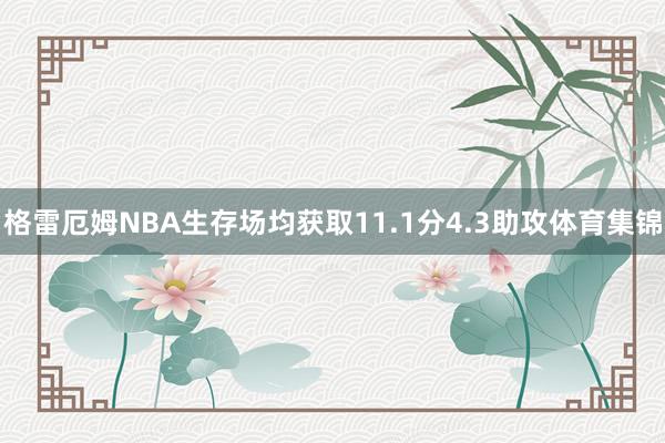 格雷厄姆NBA生存场均获取11.1分4.3助攻体育集锦