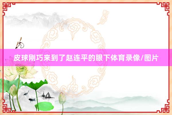 皮球刚巧来到了赵连平的眼下体育录像/图片
