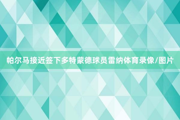 帕尔马接近签下多特蒙德球员雷纳体育录像/图片